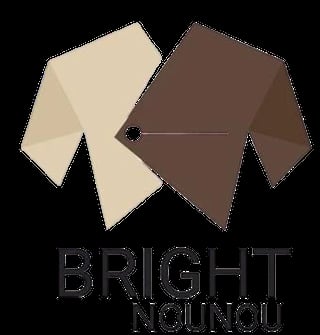 Bright Nounou Express Logo